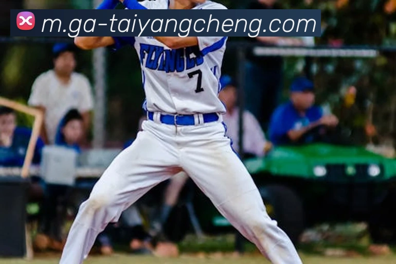 太阳城网站平台生态图