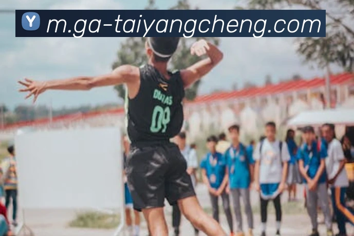 太阳城网站全站App